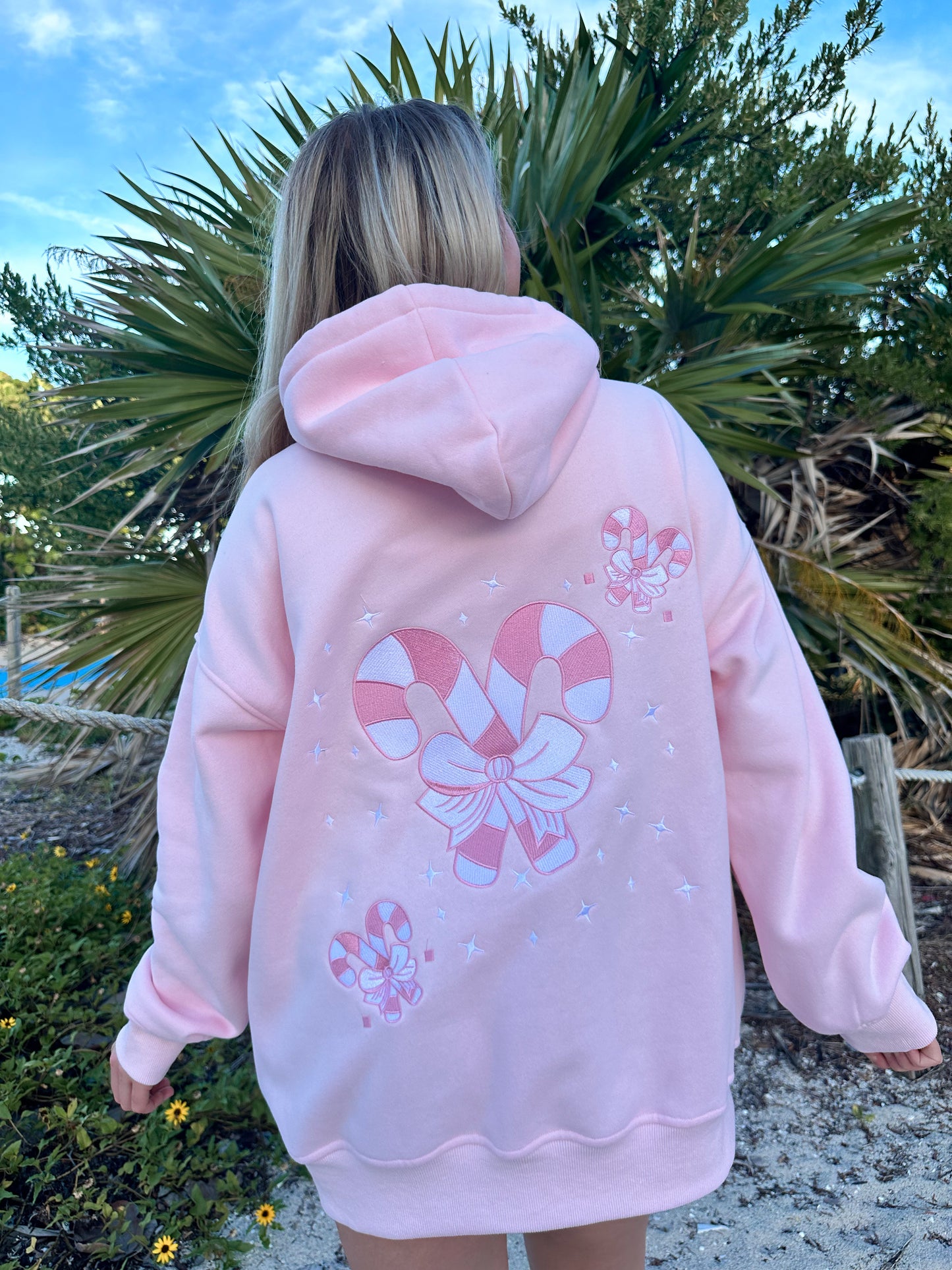 Candy Cane Wonderland Hoodie