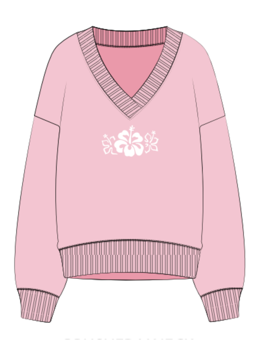 Light Pink V-Neck Embroider Sweatshirt