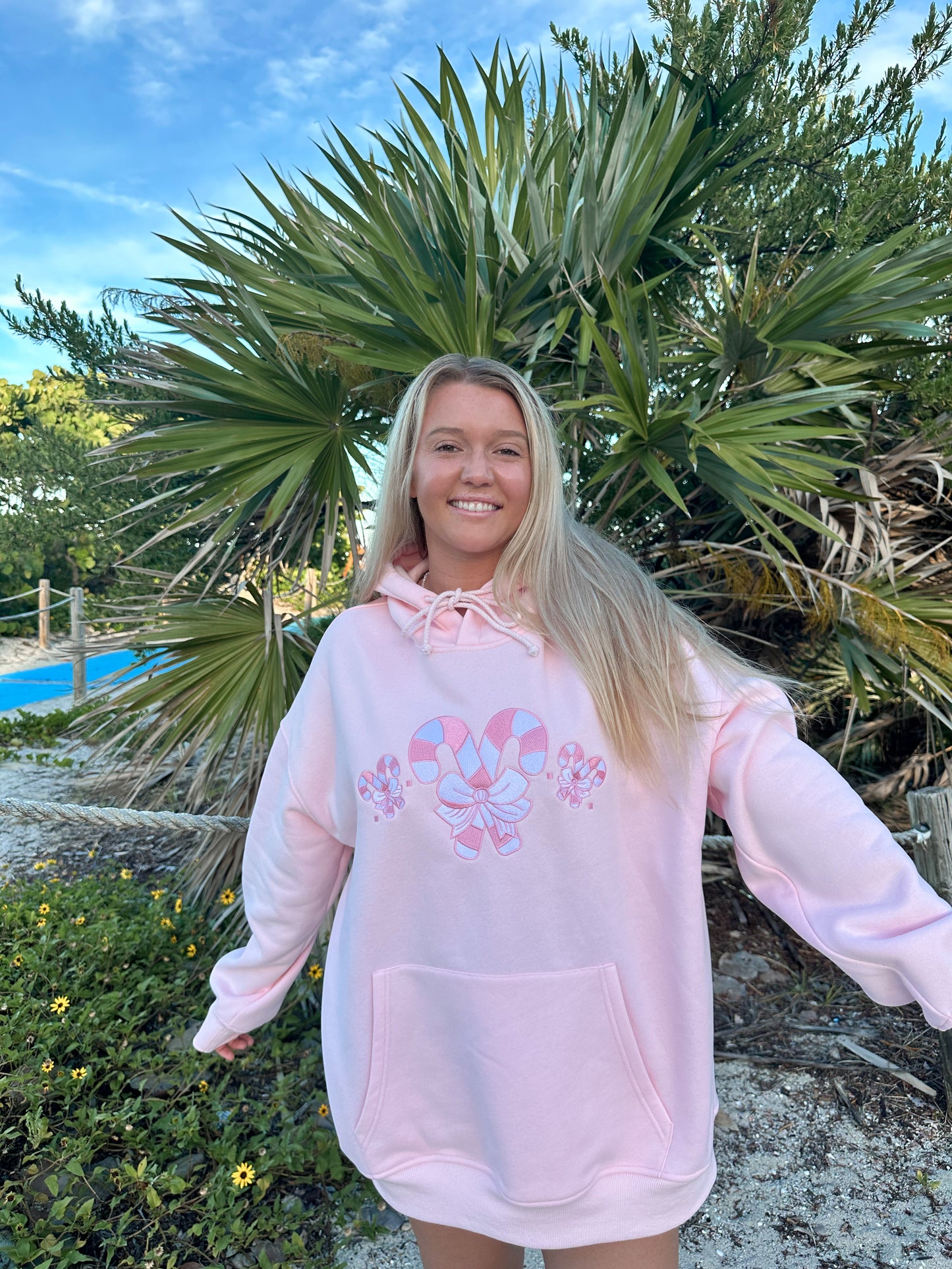 Candy Cane Wonderland Hoodie