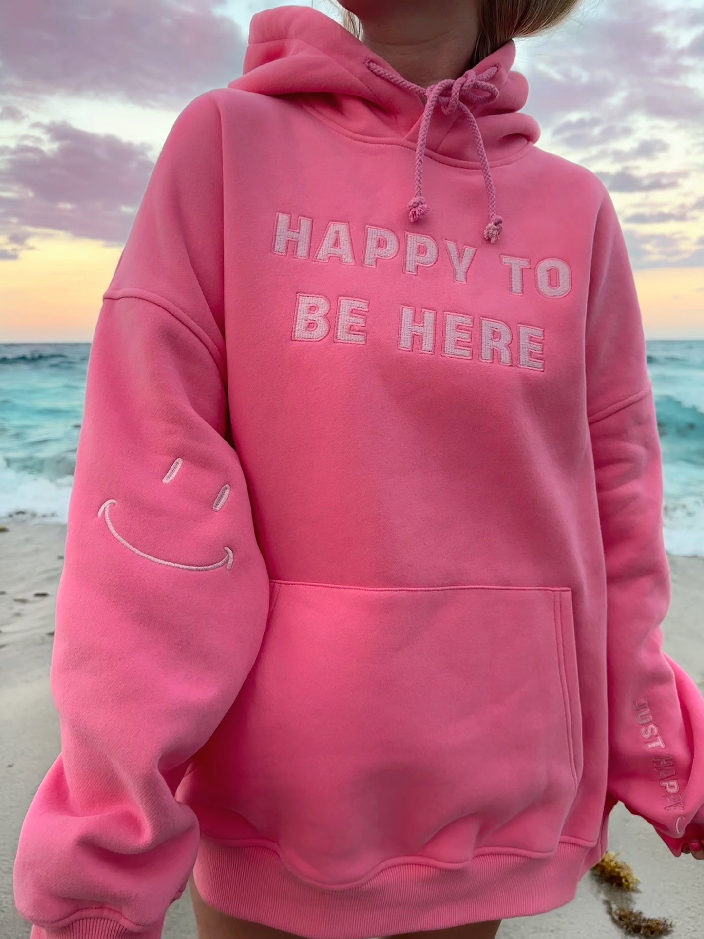 I Am Just Happy To Be Here Embroider Hoodie