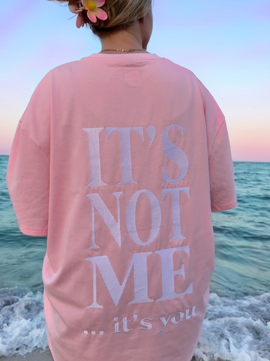 IT'S NOT ME IT'S YOU EMBROIDER TEE