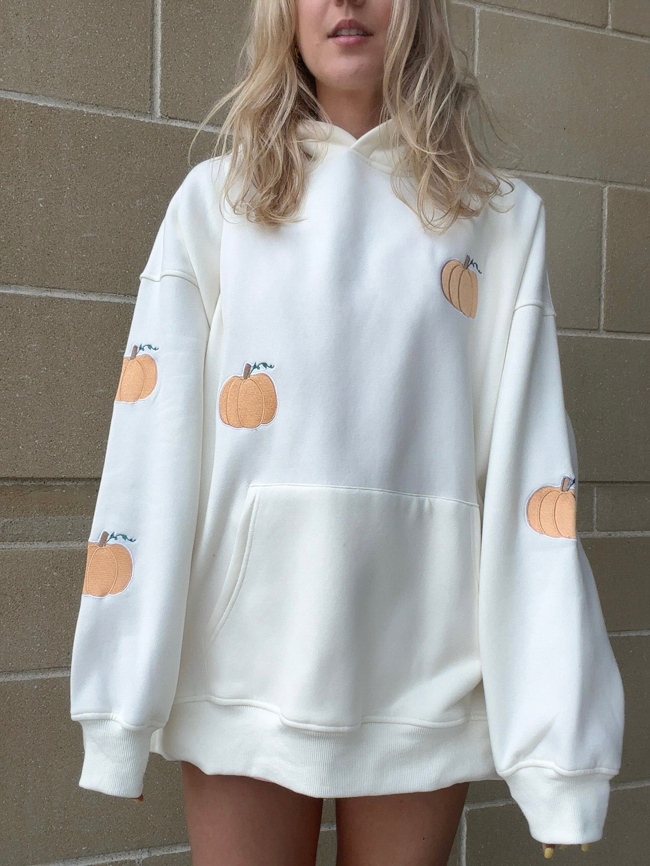 Pumpkins All Over Fall Embroider Hoodie