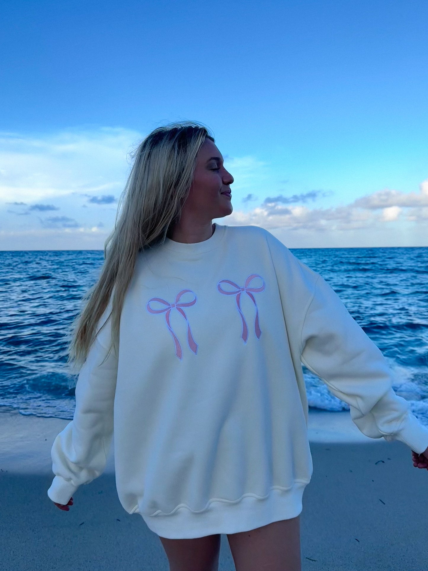 Pink Embroider Bow Sweatshirt