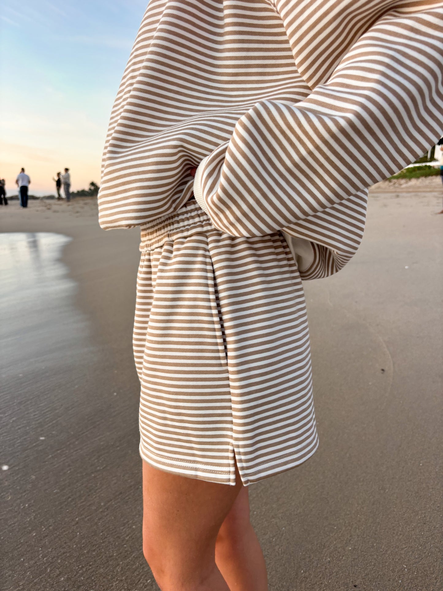 Brown and White Big Striped Shorts