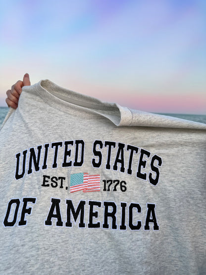 United States of America Embroider Flag Tee